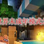 迷你世界未成年模式怎么关