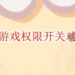 迷你世界游戏权限开关功能怎么样