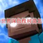 我的世界深色橡树苗怎么种