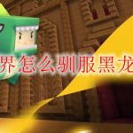 迷你世界怎么驯服黑龙当坐骑