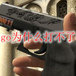 csgo为什么打不了字
