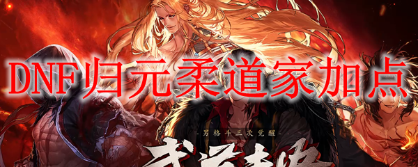 DNF归元柔道家加点