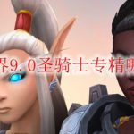 魔兽世界9.0圣骑士专精哪个最强