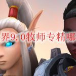 魔兽世界9.0牧师专精哪个最强
