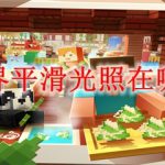 我的世界平滑光照在哪里设置