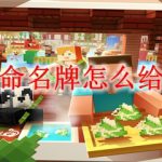 我的世界命名牌怎么给生物命名