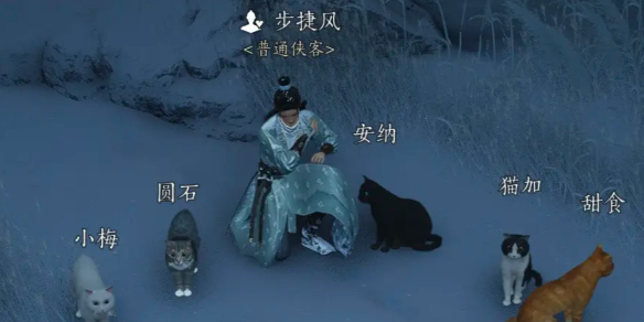 燕云十六声步捷风对话结交攻略